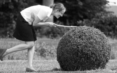 Projektmanagement in eigener Sache – Mentale Gesundheit gestalten! – 2025